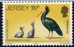 Stamp1979h.jpg
