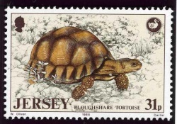 Stamp1988i.jpg