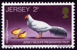 Stamp1971e.jpg